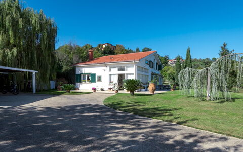 Villa Bubi 8+1: Albero, Casa, Casa, Arbusto, Zona Residenziale, Villetta, Estate, Shade, Driveway, Prato