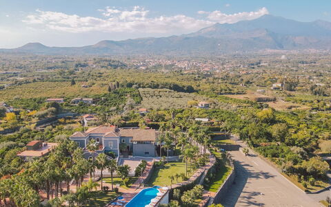 Villa Ingrid 12: Albero, Paesaggio, Zona Residenziale, Visione Globale, Fotografia Aerea, Estate, Ricorrere, Eco Hotel, Hacienda