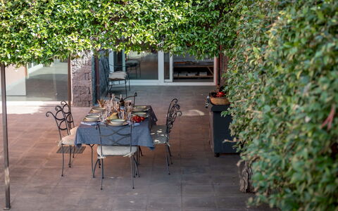 Villa Kimia 8: Foglia, Arbusto, Shade, Primavera, Giardino, Mobili Da Esterno, Vaso Di Fiori, Landscaping, Cortile