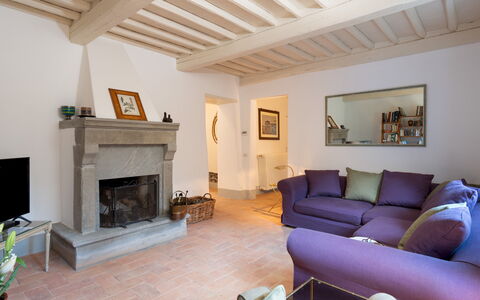 Anticiana 8: Mobilia, Interior Design, Pavimentazione, Parete, Divano, Pavimento, Legna, Soggiorno, Camera, Soffitto