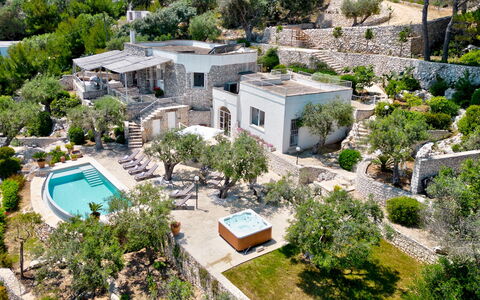 Villa Soleluna 7+1: Casa, Zona Residenziale, Paesaggio, Casa, Estate, Ricorrere, Landscaping, Villa, Giardino