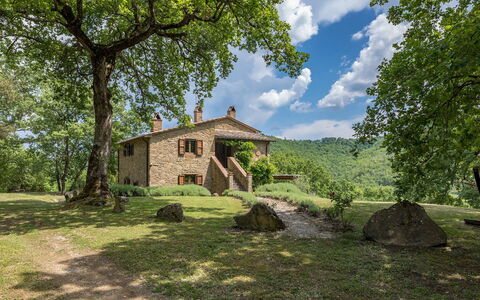 Casale Mollina 6+2: Albero, Erba, Paesaggio Naturale, Casa, Villetta, Arbusto, Area Rurale, Casa, Estate