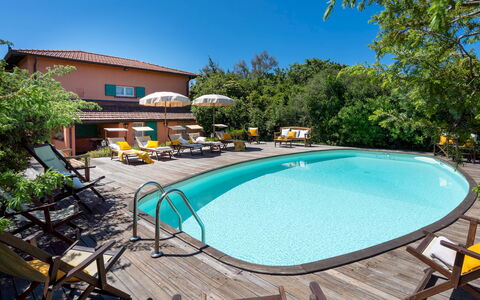 Villa Corallina 12: Piscina, Mobili Da Esterno, Ricorrere, Eco Hotel, Sedia, Tempo Libero, Ombrello, Hacienda, Villa, Shade