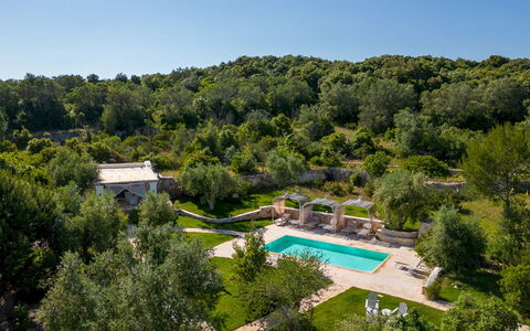 Pigreco 6+2: Albero, Paesaggio, Piscina, Giardino, Estate, Landscaping, Eco Hotel, Ricorrere, Backyard, Villa