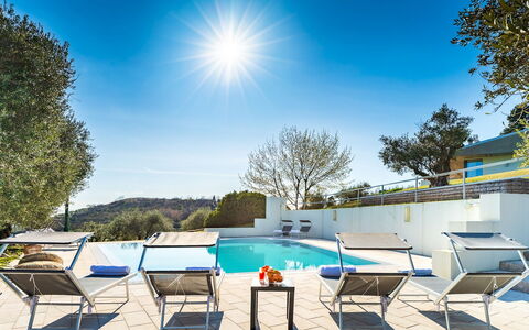 Villa degli Ulivi 8: Blu, Piscina, Mobili Da Esterno, Ricorrere, Sedia, Shade, Lettino, Landscaping, Eco Hotel, Hotel