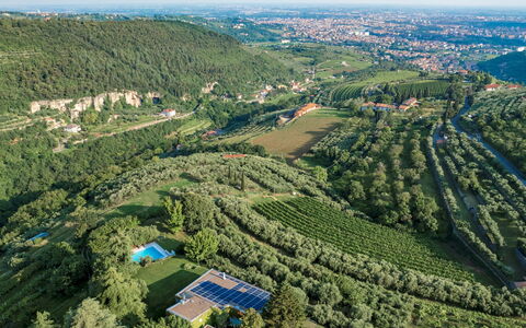 Villa degli Ulivi 8: Verde, Natura, Ambiente Naturale, Visione Globale, Vegetazione, Paesaggio, Paesaggio Naturale, Fotografia Aerea, Highland, Lotto