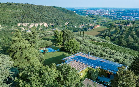 Villa degli Ulivi 8: Albero, Vegetazione, Visione Globale, Paesaggio, Fotografia Aerea, Lotto, Piscina, Hill Station, Eco Hotel, Giardino
