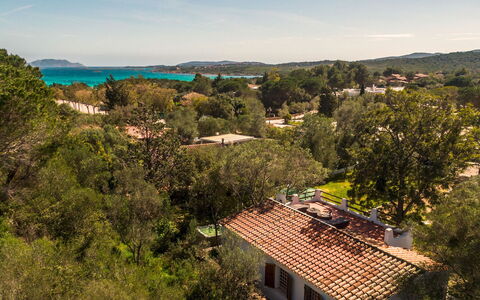 Casa Valentina 6: Cielo, Blu, Albero, Natura, Vegetazione, Zona Residenziale, Paesaggio, Lotto, Insediamento Umano, Estate