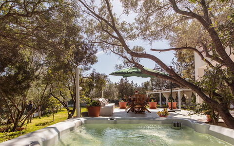 Casa Valentina 6: Albero, Mobilia, Ricorrere, Piscina, Shade, Mobili Da Esterno, Giardino, Sedia, Backyard, Estate
