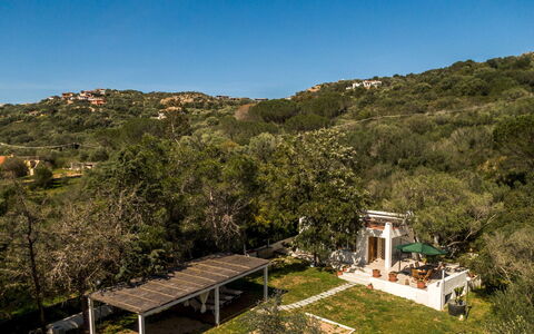 Casa Valentina 6: Albero, Paesaggio, Arbusto, Area Rurale, Estate, Primavera, Giardino, Eco Hotel, Landscaping, Hacienda
