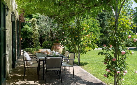 Villa Paesante 8: Verde, Foglia, Vegetazione, Giardino, Arbusto, Comunita 'Impianto, Shade, Primavera, Groundcover