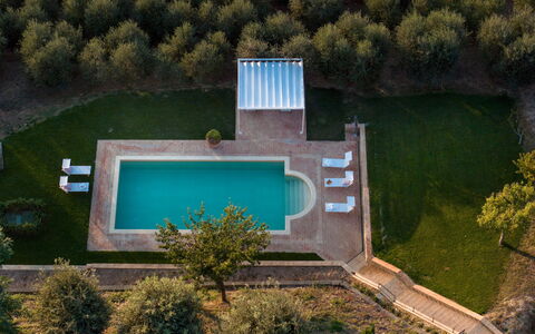 Villa Binetti 7: Piscina, Ricorrere, Terme, Giardino, Giochi D'Acqua, Estate, Prato, Landscaping, Reflecting Pool, Backyard