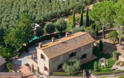 Villa Binetti 7: Parete, Architettura, Facciata, Arbusto, Casa, Casa, Brick, Estate, Giardino, Muratura