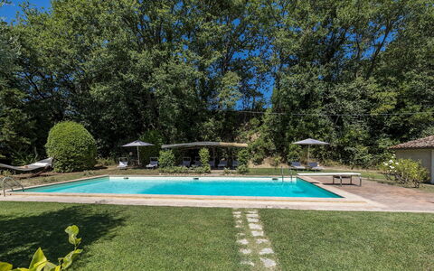 Casale le Querce di Cetona 8: Piscina, Albero, Shade, Giardino, Estate, Ricorrere, Landscaping, Backyard, Prato, Hacienda