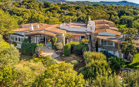 Villa Stella 6: Vegetazione, Arbusto, Comunita 'Impianto, Paesaggio, Lotto, Area Rurale, Estate, Shrubland, Chaparral