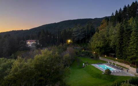 Villa la Rassinata 8: Paesaggio, Foresta, Hill Station, Larice, Giungla, Landscaping, Boschi Di Conifere Tropicali E Subtropicali, Sempreverde