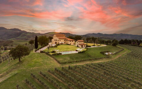 Santa Maria Maddalena 10: Vino, Agricoltura, Bottiglia, Cibo, Barware, Bottiglia Di Vetro