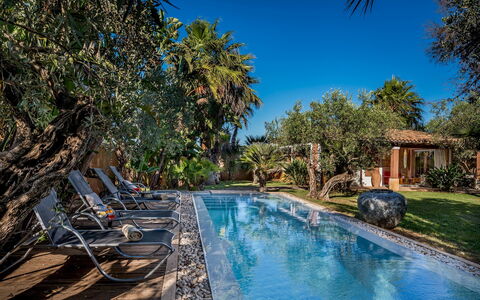 Villa Antura 4: Piscina, Blu, Albero, Ricorrere, Eco Hotel, Mobili Da Esterno, Shade, Estate, Lettino, Hacienda