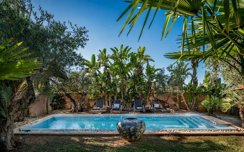 Villa Antura 4: Blu, Piscina, Ricorrere, Eco Hotel, Mobili Da Esterno, Hacienda, Shade, Landscaping, Tropici