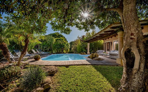 Villa Ashram 6: Piscina, Albero, Ricorrere, Shade, Mobili Da Esterno, Eco Hotel, Estate, Giardino, Landscaping