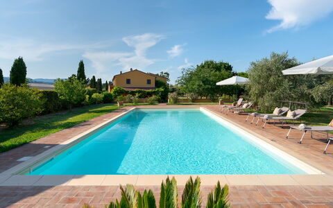 Villa Allodola 12: Piscina, Hacienda, Estate, Giardino, Villa, Cortile, Landscaping, Agriturismo, Ricorrere, Eco Hotel