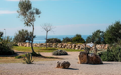 Kyvos 10: Roccia, Paesaggio, Landscaping, Tropici