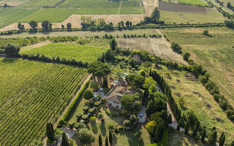 Villa la Monarca 16: Visione Globale, Zona Residenziale, Paesaggio, Casa, Lotto, Piantagione, Estate, Fotografia Aerea, Insediamento Umano, Area Rurale