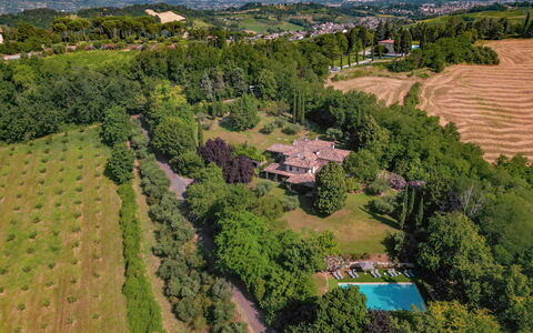 Dolce Collina 10: Albero, Ambiente Naturale, Natura, Paesaggio, Zona Residenziale, Lotto, Visione Globale, Estate, Area Rurale, Plain