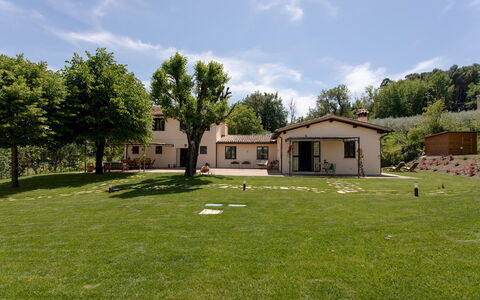 La Collina degli Ulivi 8+2: Erba, Casa, Paesaggio, Zona Residenziale, Casa, Plain, Area Rurale, Lotto, Prato, Villetta