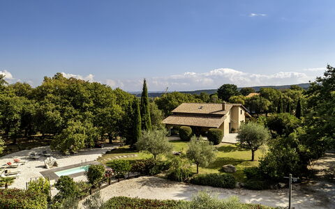 Villa Sparta 8+2: Albero, Foglia, Vegetazione, Arbusto, Casa, Paesaggio, Casa, Lotto, Giardino