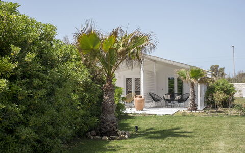 Baia L'Aura 8: Arbusto, Casa, Casa, Villetta, Giardino, Shade, Landscaping, Woody Impianto, Estate