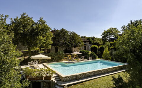 Il Castellare 14: Piscina, Estate, Giardino, Hacienda, Eco Hotel, Villa, Backyard, Ricorrere, Agriturismo, Landscaping