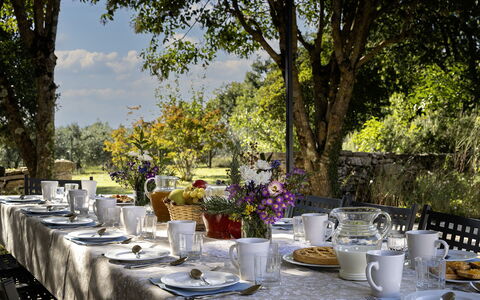 Il Castellare 14: Tavola, Mobilia, Tavolo, Tovaglia, Serveware, Bicchieri, Giardino, Dishware, Tavolo Esterno