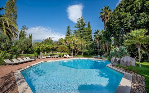 Linera 10: Piscina, Albero, Ricorrere, Eco Hotel, Shade, Giardino, Estate, Hacienda, Landscaping