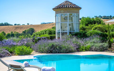 Casa Sant'Elia 7+3: Blu, Fiore, Arbusto, Giardino, Landscaping, Piscina, Cortile, Prato, Backyard, Eco Hotel