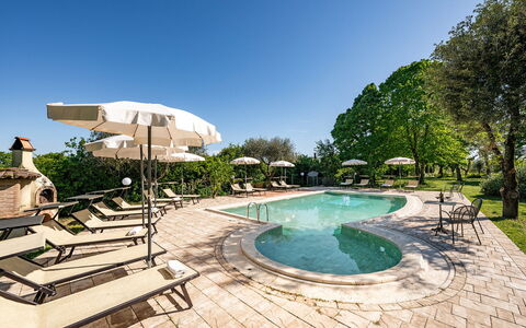 Sangiovese 14: Mobili Da Esterno, Piscina, Ricorrere, Giardino, Landscaping, Shade, Lettino, Tavolo Esterno, Cortile, Estate