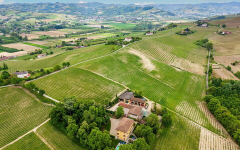 Tenuta Schiavon Barrero 12: Agricoltura, Plain, Paesaggio, Campo, Piantagione, Visione Globale, Area Rurale, Lotto, Insediamento Umano, Fotografia Aerea