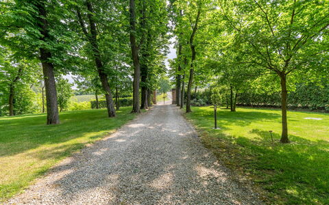Tenuta Schiavon Barrero 12: Foglia, Verde, Albero, Natura, Ramo, Ambiente Naturale, Vegetazione, Paesaggio Naturale, Trail, Tronco