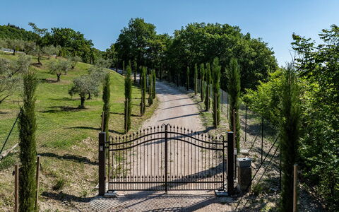 Villa Mamon 6+2: Arbusto, Cancello, Recinzione, Giardino, Trail, Landscaping, Passerella, Home Scherma, Driveway, Parco