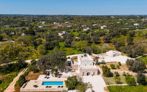 Masseria Grotta Antica 6+2: Albero, Paesaggio, Estate, Visione Globale, Landscaping, Fotografia Aerea, Piscina, Villa, Hacienda, Piantagione