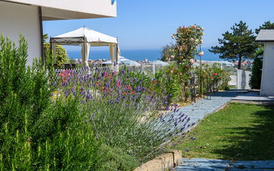 Villa Alma 8+2
