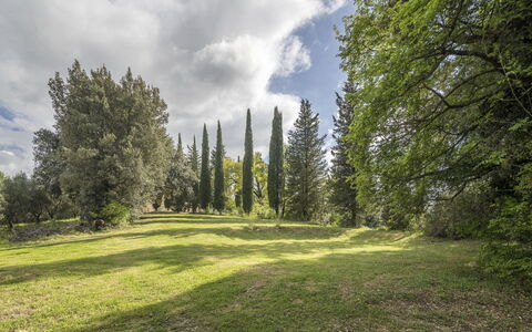 Casa Clara Pool, Casole Elsa, Monti: Foglia, Erba, Albero, Ambiente Naturale, Natura, Verde, Ramo, Vegetazione, Paesaggio Naturale, Arbusto