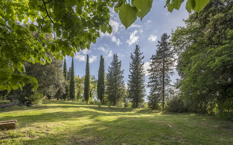 Casa Clara Pool, Casole Elsa, Monti: Foglia, Albero, Natura, Verde, Ambiente Naturale, Ramo, Vegetazione, Paesaggio Naturale, Arbusto, Comunita 'Impianto