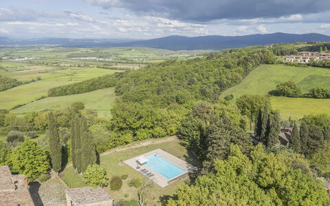 Casa Clara Pool, Casole Elsa, Monti: Paesaggio, Estate, Landscaping, Piantagione, Agriturismo, Villa, Hacienda, Piscina, Sempreverde
