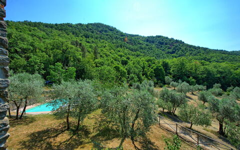 Poggio Conca: Vegetazione, Natura, Natura Selvaggia, Riserva Naturale, Ambiente Naturale, Geografia Montane, Albero, Montagna, Biome, Hill Station