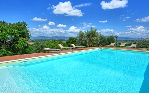 Villa Ulivi: Acqua, Cielo, Nube, Piscina, Blu, Azzurro, Rettangolo, Shade, Pianta, Erba