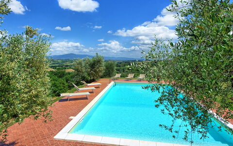Villa Ulivi: Acqua, Nube, Cielo, Proprietà, Piscina, Azzurro, Pianta, Paesaggio Naturale, Rettangolo, Corpo D'Acqua