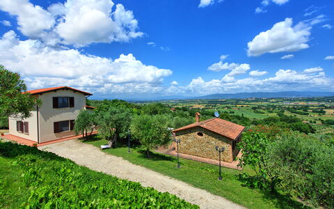 Villa Ulivi: Nube, Cielo, Pianta, Costruzione, Finestra, Verde, Paesaggio Naturale, Casa, Albero, Vegetazione