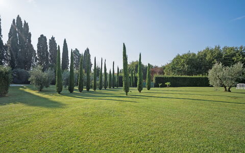 Villa Fontine: Albero, Verde, Erba, Paesaggio Naturale, Lotto, Stabilimento Sportivo, Pascolo, Cielo, Biome, Giardino