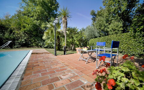 La Capinera: Proprietà, Immobiliare, Casa, Costruzione, Piscina, Casa, Estate, Backyard, Villa, Terrazza